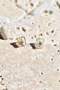 Gold CZ Star Crystal Studs